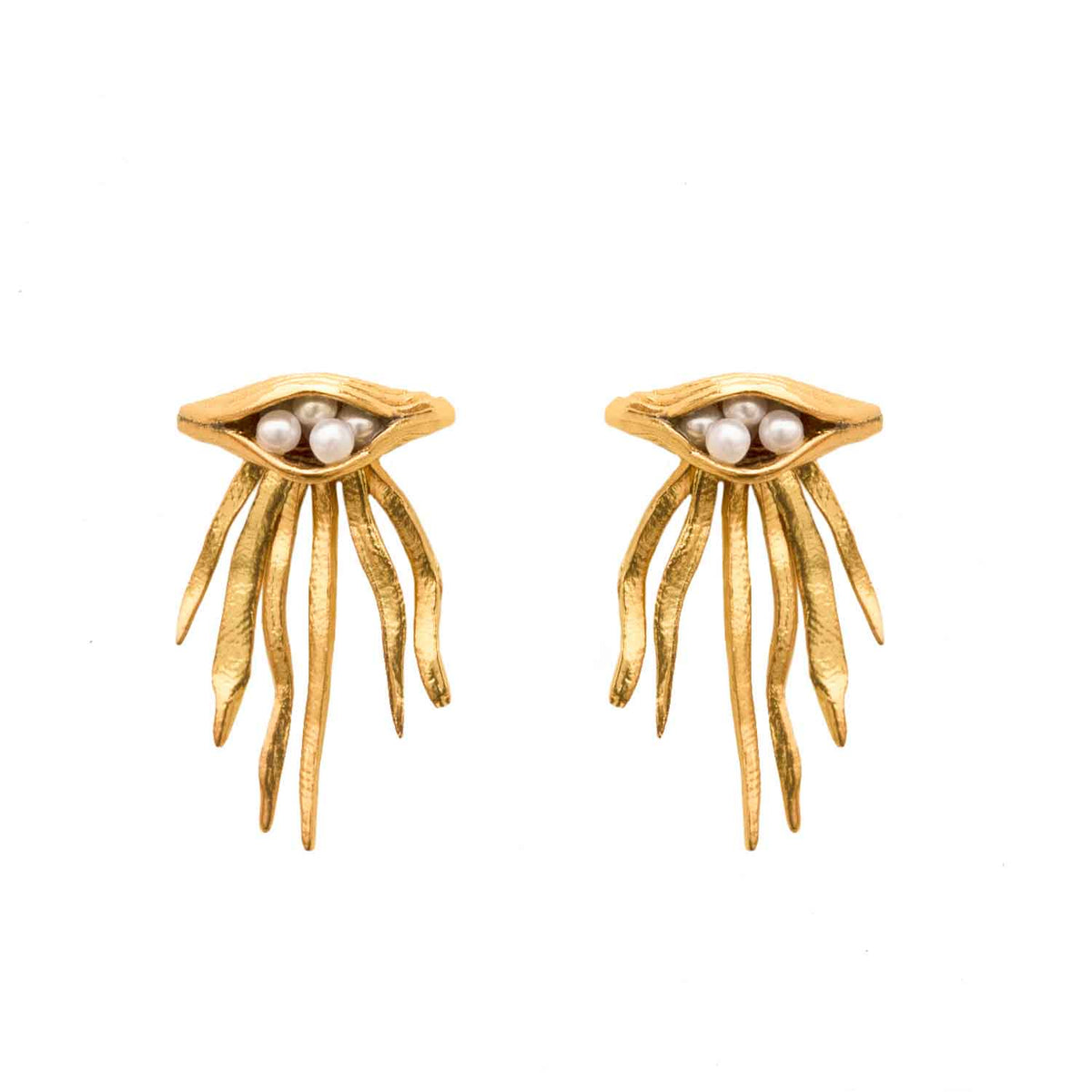 ARETES FUNGU FILO
