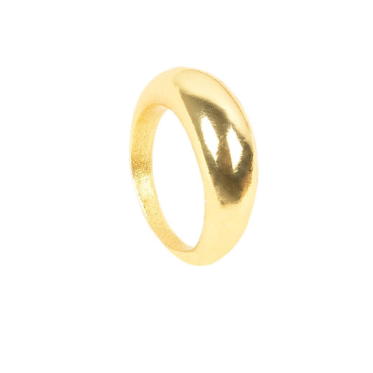 ANILLO SATURNO - Pajarolimon Colombia