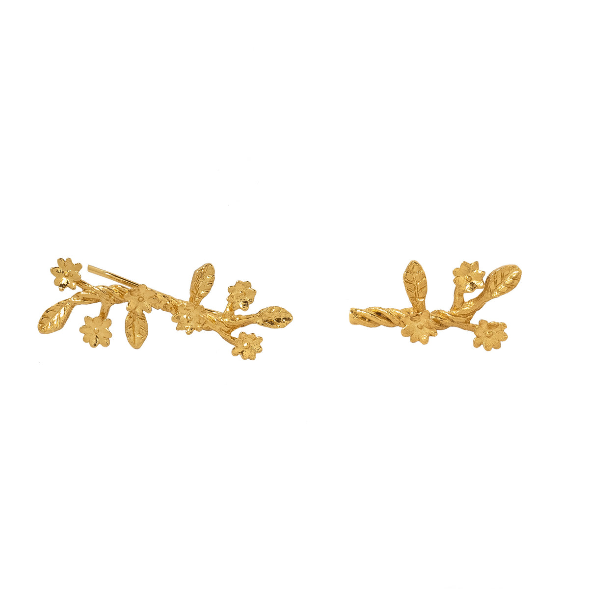 ARETE CLAVEL