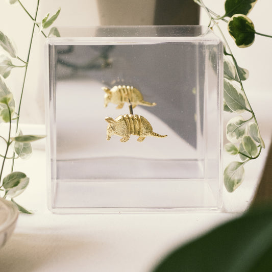 CUBO ARMADILLO