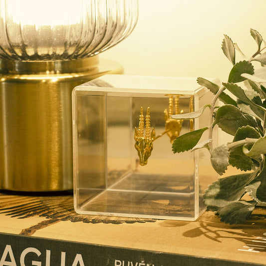 CUBO ANTILOPE