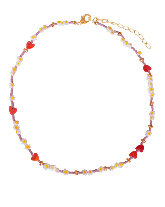 COLLAR BLUSH DAISY