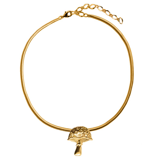 COLLAR SETARIUM