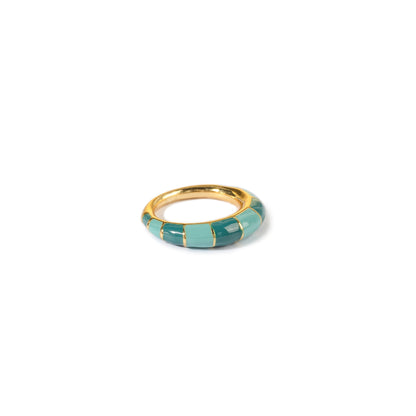 ANILLO CATAPIZ