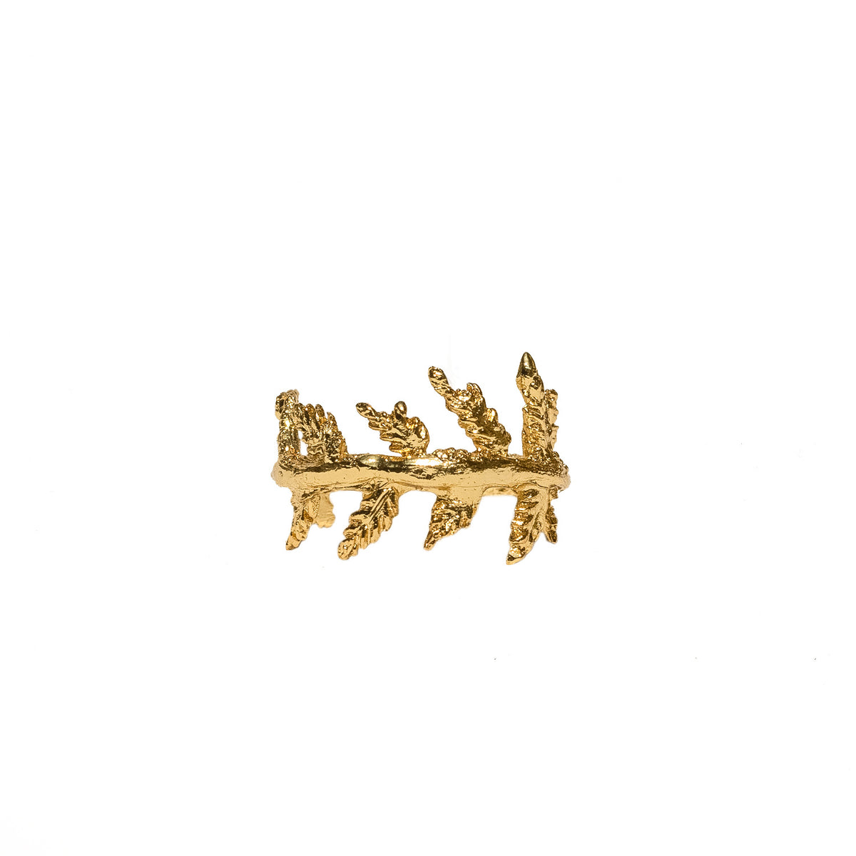 ANILLO CORTEZA