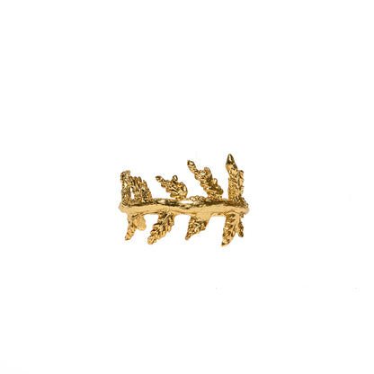 ANILLO CORTEZA
