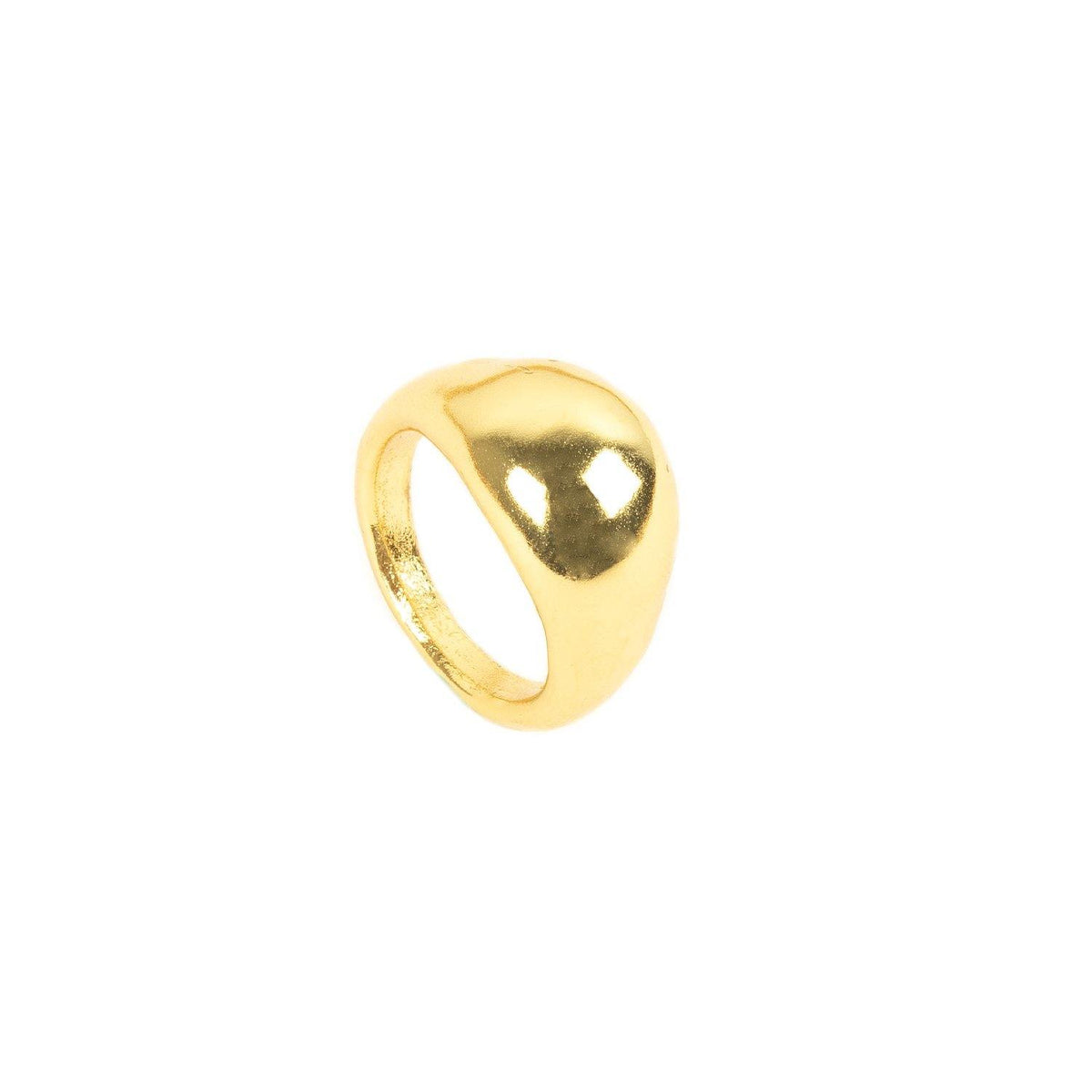 ANILLO TIERRA - Pajarolimon Colombia