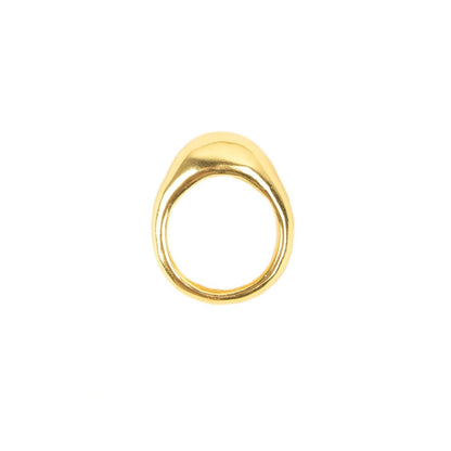 ANILLO TIERRA - Pajarolimon Colombia