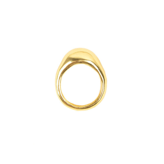 ANILLO TIERRA - Pajarolimon Colombia