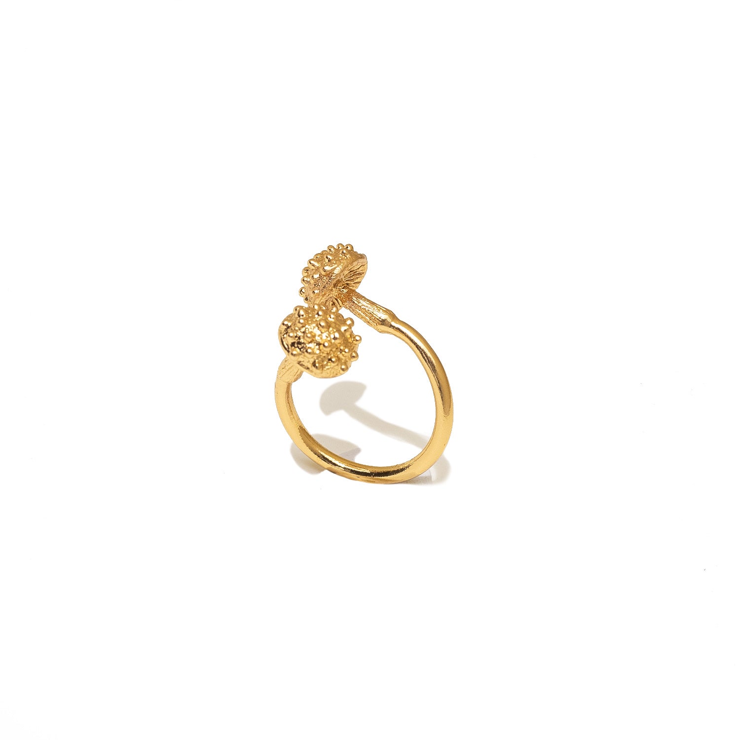 ANILLO SETA