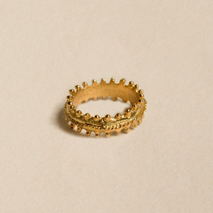 ANILLO AQUILES - Pajarolimon Colombia
