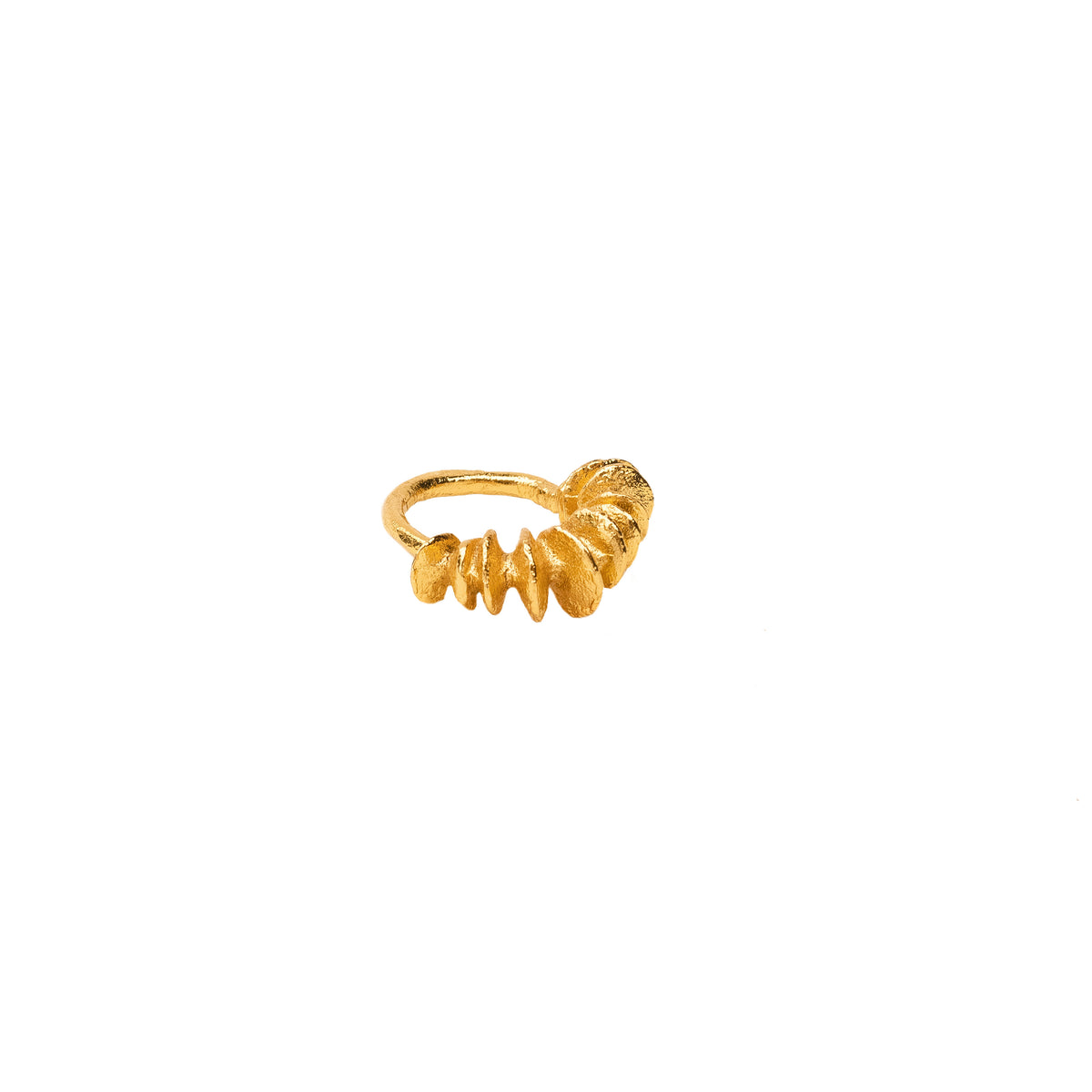 ANILLO SALARE