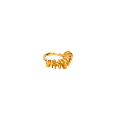 ANILLO SALARE