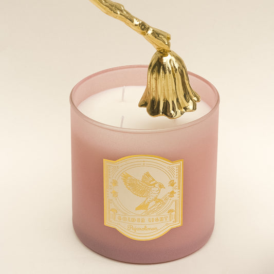 APAGADOR DE VELAS GRANDE