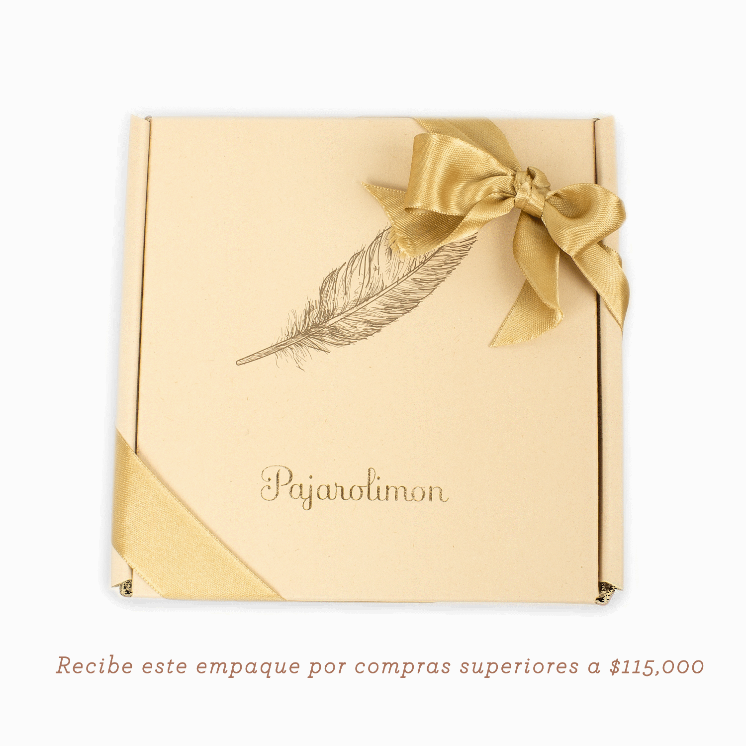 ANILLO SATURNO