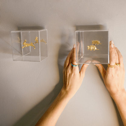 CUBO ARMADILLO
