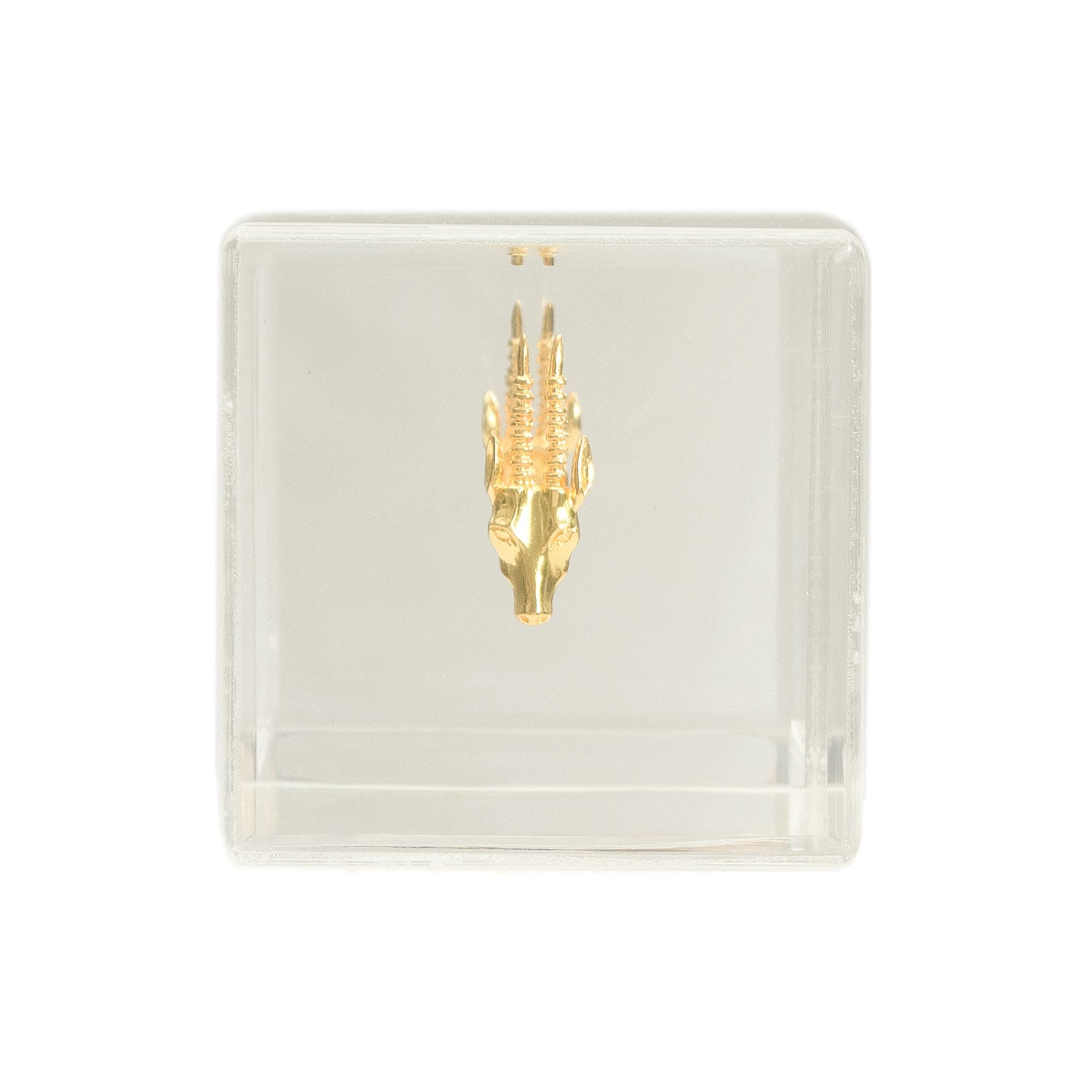 CUBO ANTILOPE