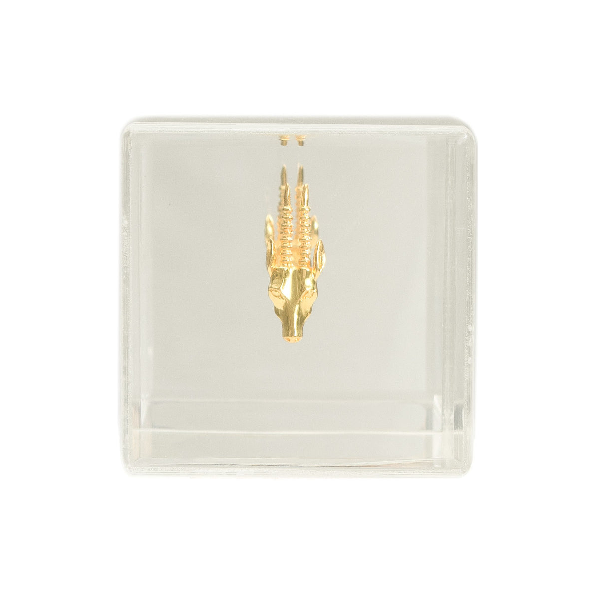 CUBO ANTILOPE