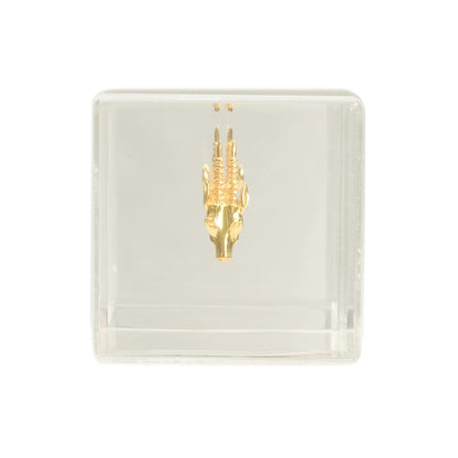 CUBO ANTILOPE