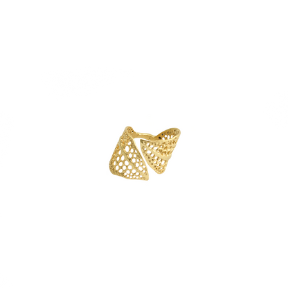ANILLO VERA - Pajarolimon Colombia