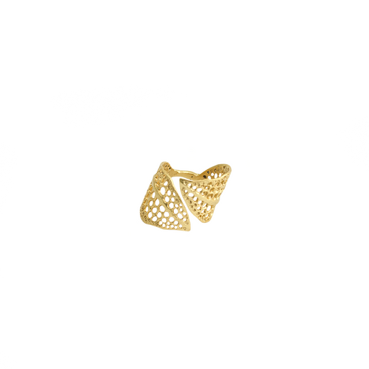 ANILLO VERA - Pajarolimon Colombia