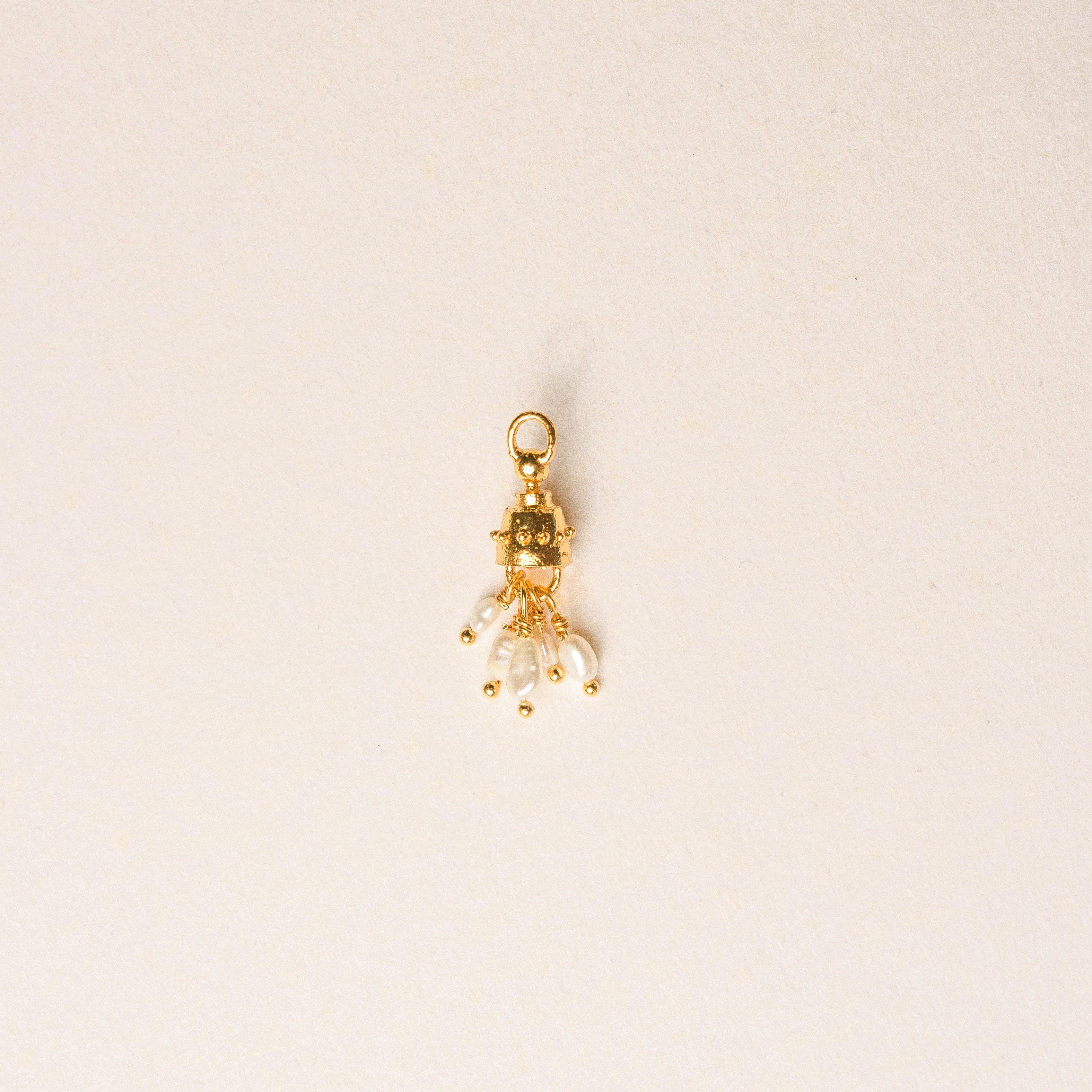 ATLAS CHARM - Pajarolimon Colombia