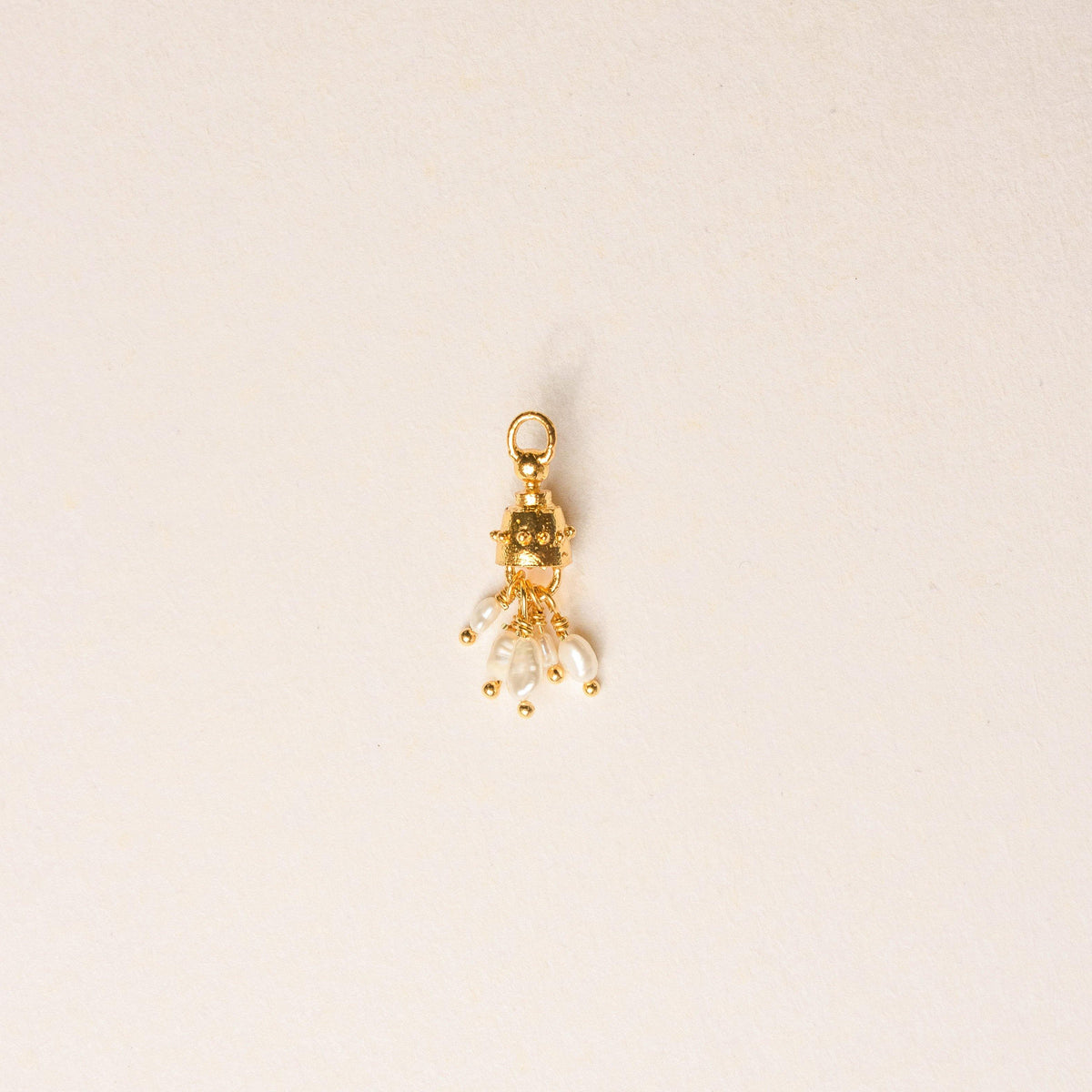 ATLAS CHARM - Pajarolimon Colombia