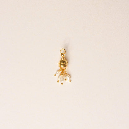 ATLAS CHARM - Pajarolimon Colombia