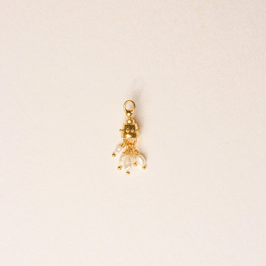 ATLAS CHARM - Pajarolimon Colombia