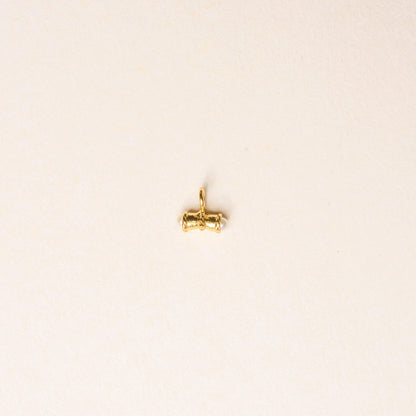 MINI ODI CHARM - Pajarolimon Colombia