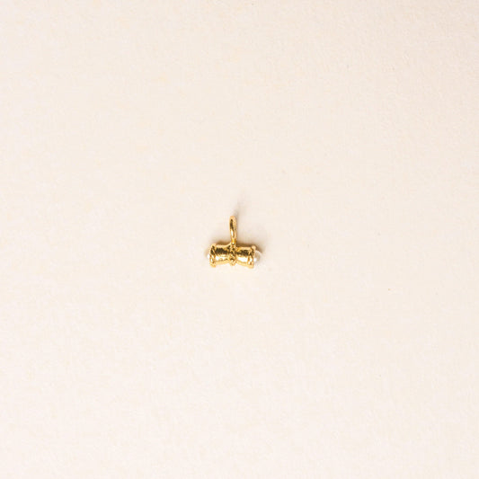 MINI ODI CHARM - Pajarolimon Colombia