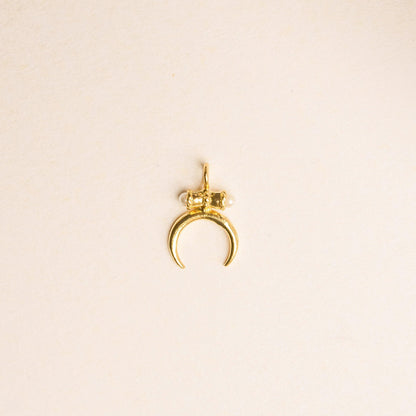 ODISEO CHARM - Pajarolimon Colombia