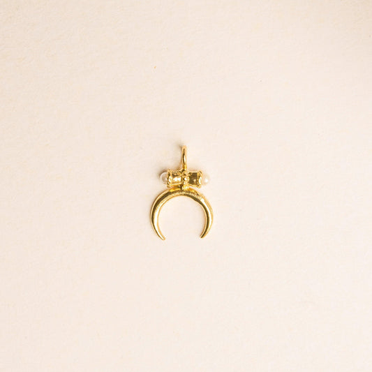 ODISEO CHARM - Pajarolimon Colombia