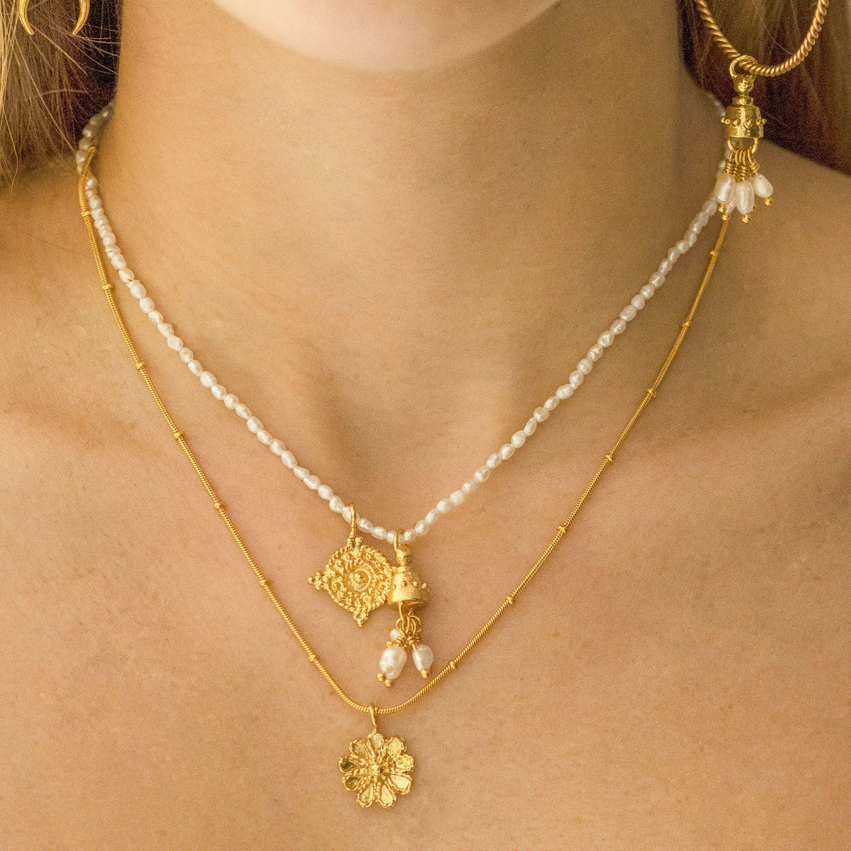 ATLAS CHARM - Pajarolimon Colombia